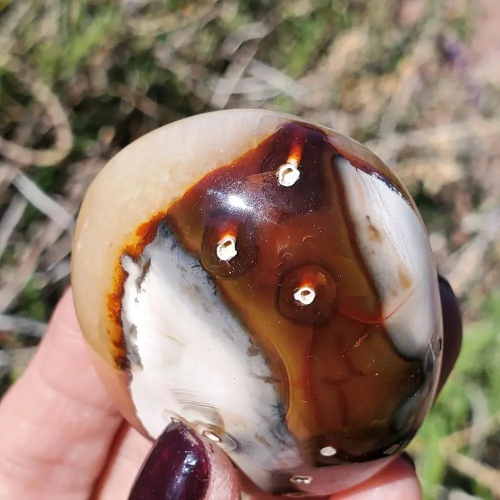 Eyes on Back Orca Agate Carnelian Stone Crystal UNIQUE Palmstone 180 grams